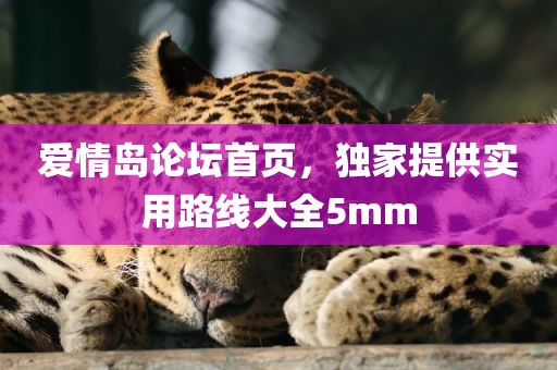 爱情岛论坛首页，独家提供实用路线大全5mm