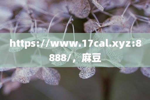https://www.17cal.xyz:8888/，麻豆