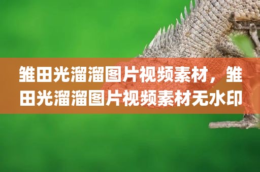 雏田光溜溜图片视频素材，雏田光溜溜图片视频素材无水印