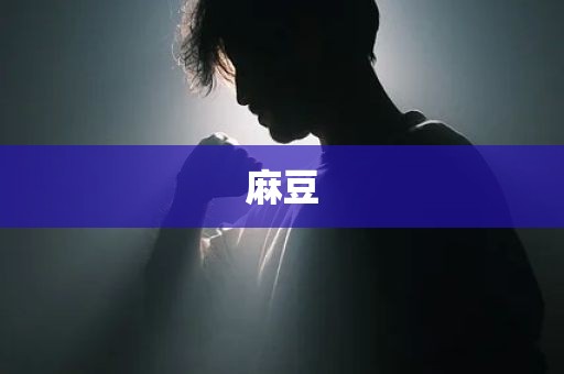 麻豆