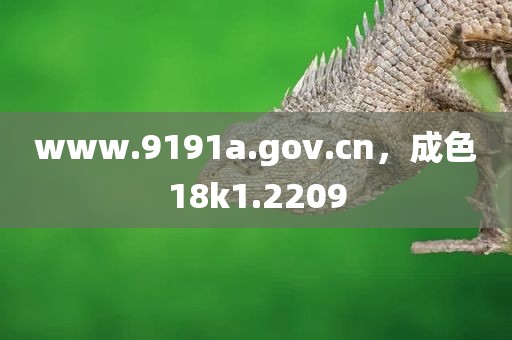 www.9191a.gov.cn，成色18k1.2209