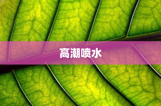 高潮喷水
