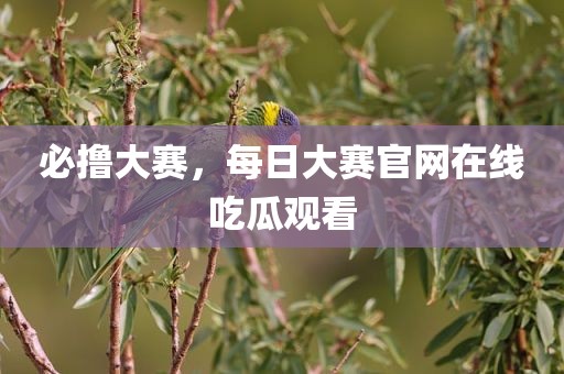 必撸大赛，每日大赛官网在线吃瓜观看