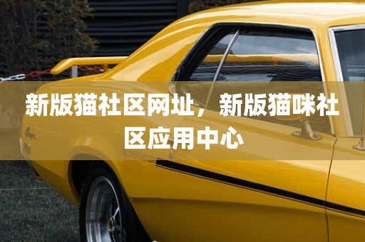 新版猫社区网址，新版猫咪社区应用中心