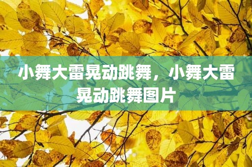 小舞大雷晃动跳舞，小舞大雷晃动跳舞图片