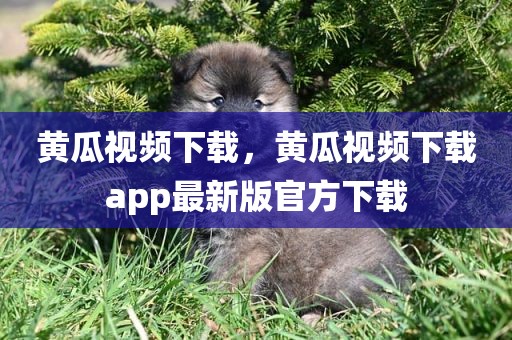 黄瓜视频下载，黄瓜视频下载app最新版官方下载