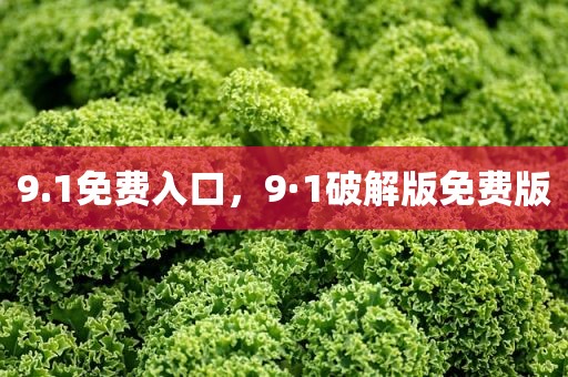 9.1免费入口，9·1破解版免费版