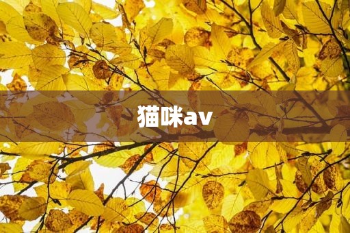 猫咪av