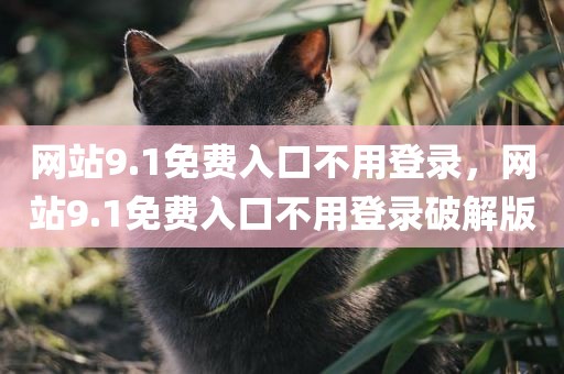 网站9.1免费入口不用登录，网站9.1免费入口不用登录破解版