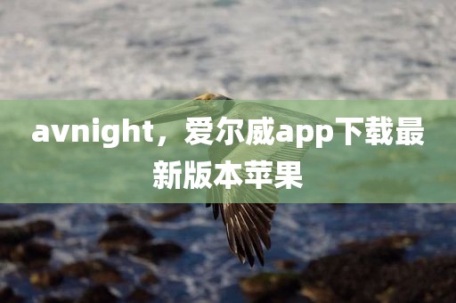 avnight，爱尔威app下载最新版本苹果