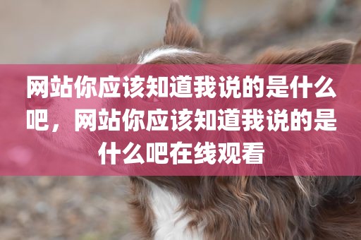 网站你应该知道我说的是什么吧，网站你应该知道我说的是什么吧在线观看