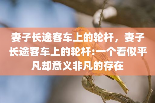 妻子长途客车上的轮杆，妻子长途客车上的轮杆:一个看似平凡却意义非凡的存在