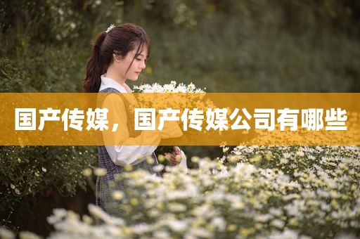 国产传媒，国产传媒公司有哪些