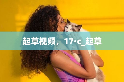 起草视频，17·c_起草