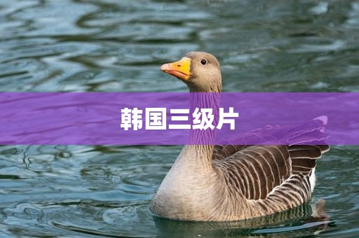 韩国三级片