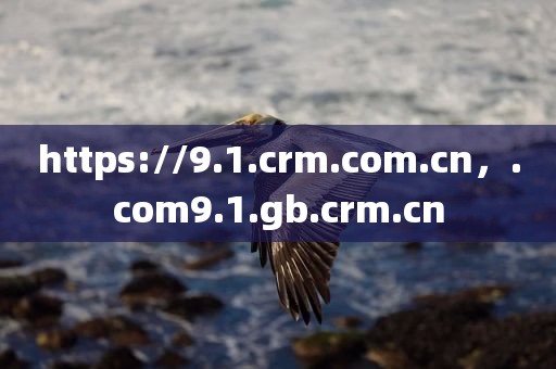 https://9.1.crm.com.cn，.com9.1.gb.crm.cn