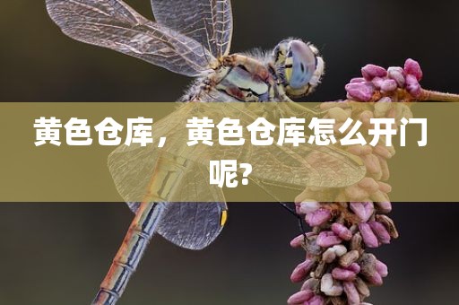 黄色仓库，黄色仓库怎么开门呢?