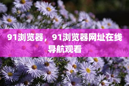 91浏览器，91浏览器网址在线导航观看