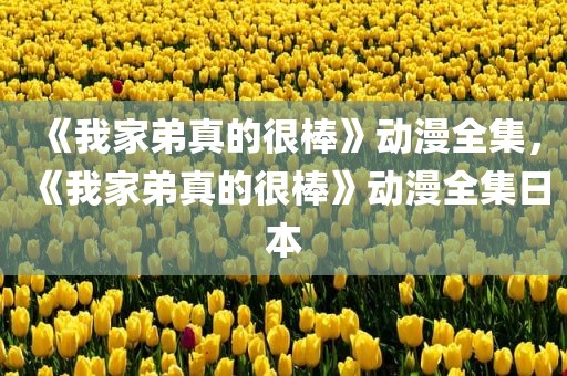 《我家弟真的很棒》动漫全集，《我家弟真的很棒》动漫全集日本