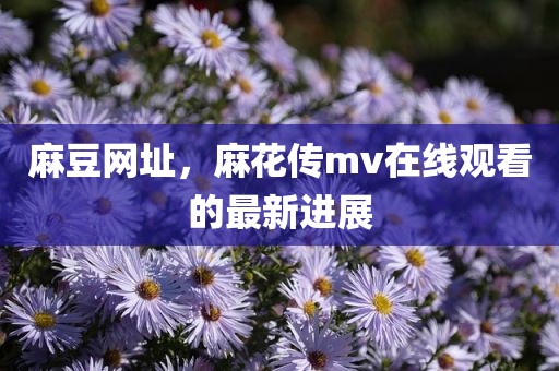 麻豆网址，麻花传mv在线观看的最新进展