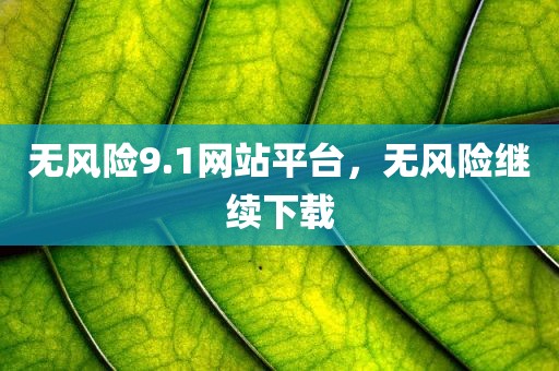 无风险9.1网站平台，无风险继续下载