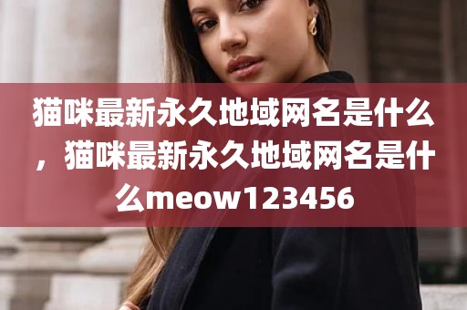 猫咪最新永久地域网名是什么，猫咪最新永久地域网名是什么meow123456