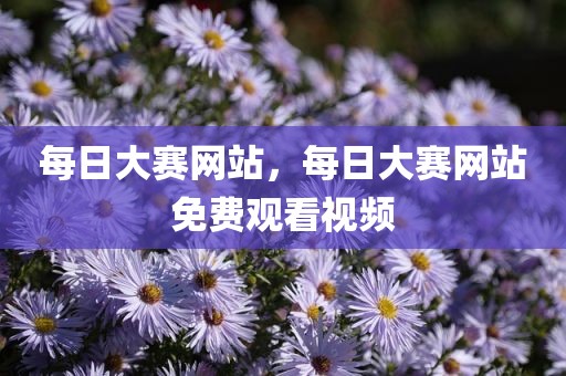 每日大赛网站，每日大赛网站免费观看视频