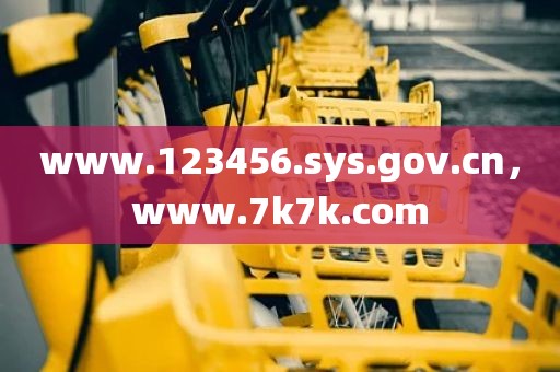 www.123456.sys.gov.cn，www.7k7k.com