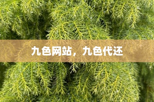 九色网站，九色代还