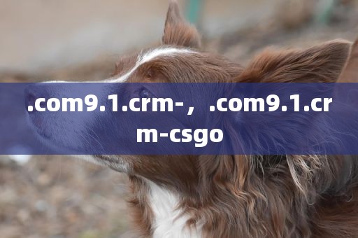 .com9.1.crm-，.com9.1.crm-csgo