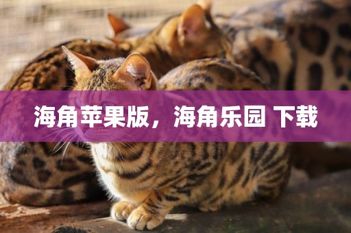 海角苹果版，海角乐园 下载