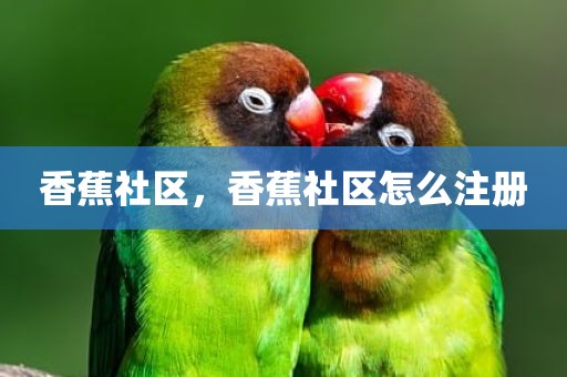 香蕉社区，香蕉社区怎么注册