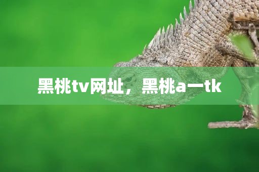 黑桃tv网址，黑桃a一tk