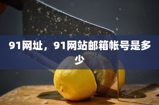 91网址，91网站邮箱帐号是多少