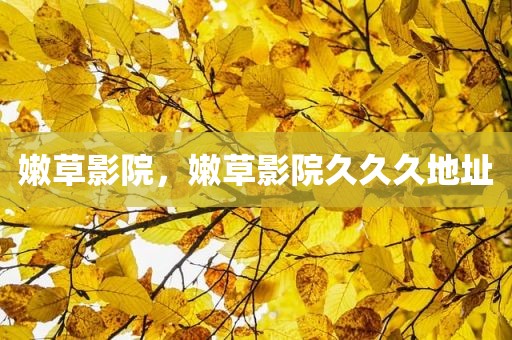 嫩草影院，嫩草影院久久久地址