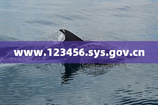 www.123456.sys.gov.cn