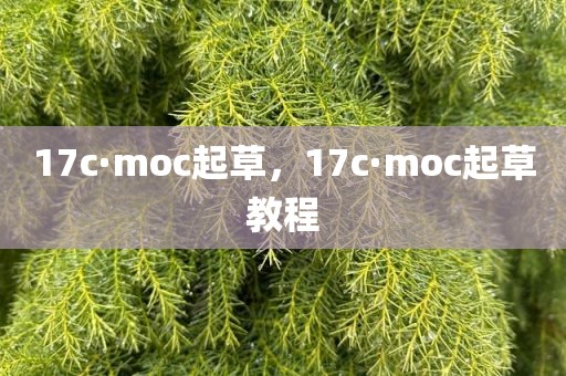17c·moc起草，17c·moc起草教程