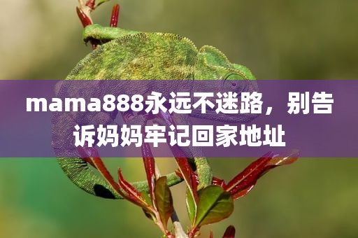 mama888永远不迷路，别告诉妈妈牢记回家地址