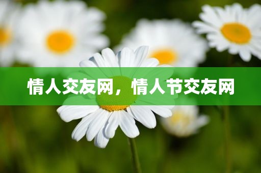 情人交友网，情人节交友网