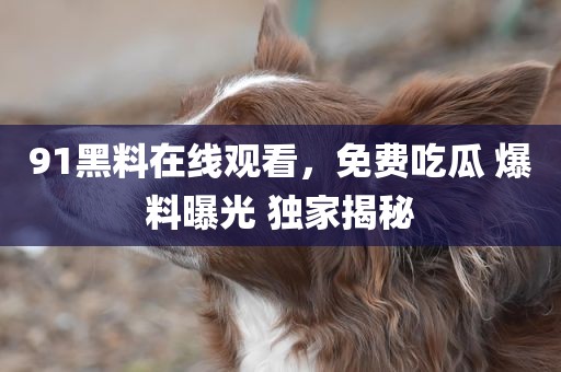 91黑料在线观看，免费吃瓜 爆料曝光 独家揭秘