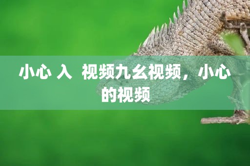 小心 入  视频九幺视频，小心的视频