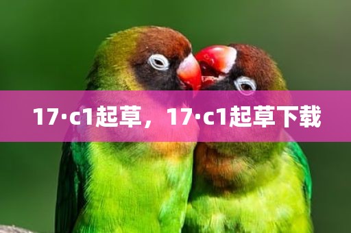 17·c1起草，17·c1起草下载