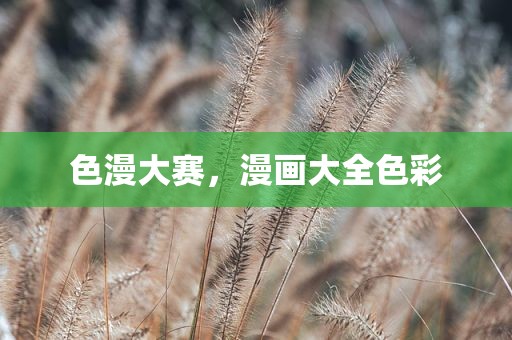 色漫大赛，漫画大全色彩