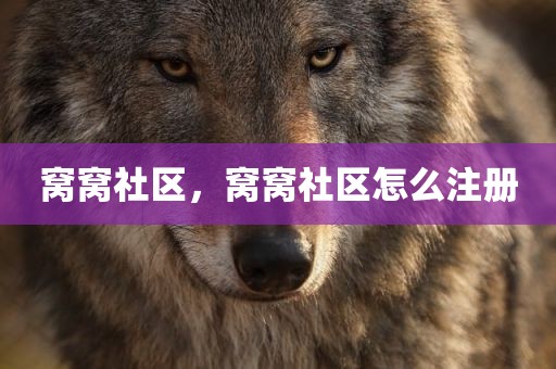 窝窝社区，窝窝社区怎么注册