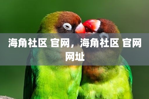 海角社区 官网，海角社区 官网网址