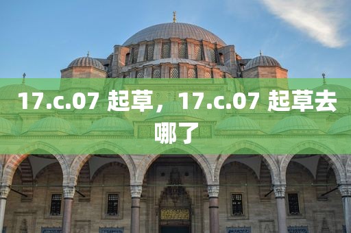 17.c.07 起草，17.c.07 起草去哪了