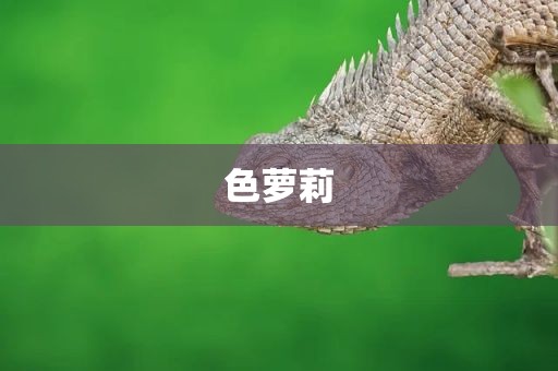 色萝莉