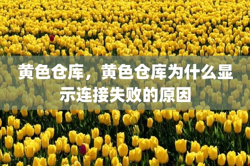 黄色仓库，黄色仓库为什么显示连接失败的原因