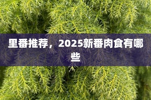 里番推荐，2025新番肉食有哪些
