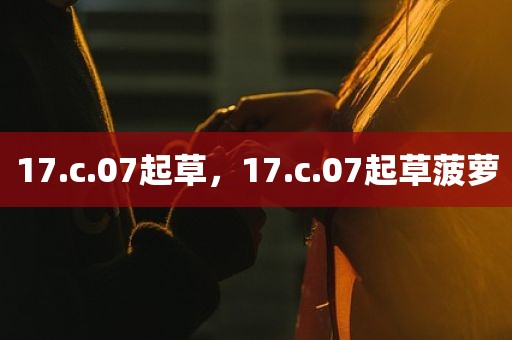 17.c.07起草，17.c.07起草菠萝